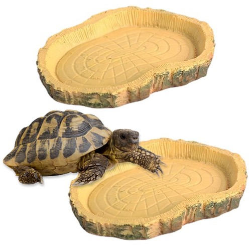 Pezzi teca per - teca, rettili
