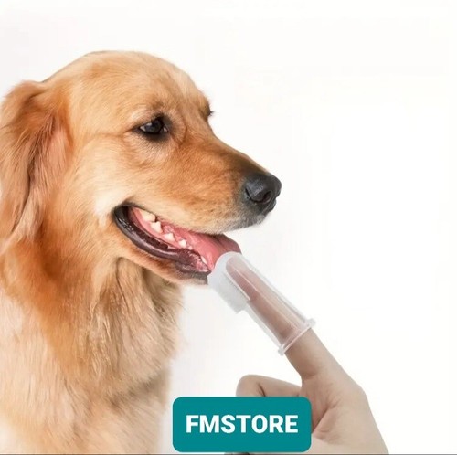 Spazzolino denti per - spazzolino,