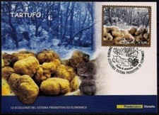 Piante Tartufo Bianco Nero Italia 2015 Industria Alimentare Gastronomia Foresta Maxicard