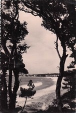 17 ROYAN LA GRANDE CONCHE