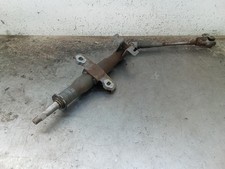 CANNA DELLO STERZO (PIANTONE)