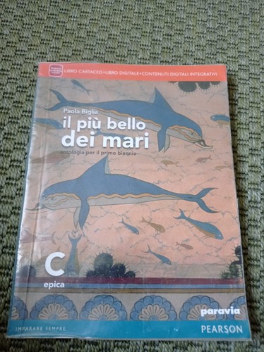Libro epica più bello - libro,