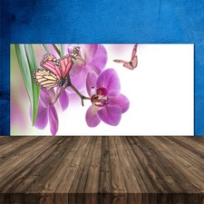 120x60 Paraschizzi in Vetro