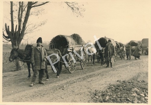 Foto wehrmacht carri - wk,