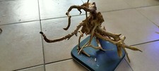Legni acquario aquascaping - legni,