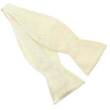 Tony & Paul. Noeud papillon à