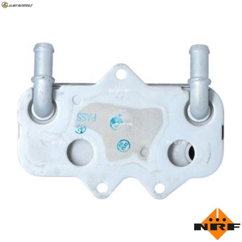 Radiatore olio motore 31233 - olio,