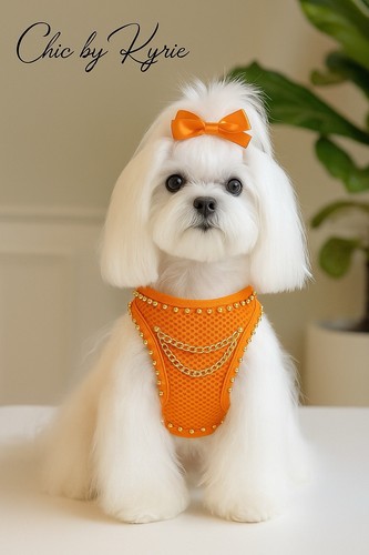 Pettorina cane arancio fluo - fluo, e