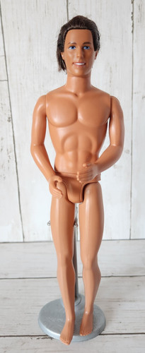 Barbie ken raperonzolo - ken,