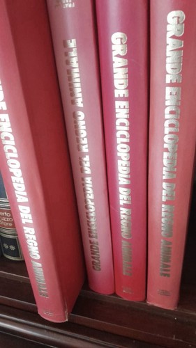 Grande enciclopedia del regno - enciclopedia,