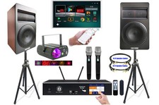 2000W Home Karaoke System