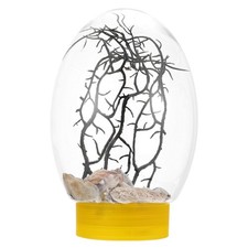 Piccola vasca per pesci scrivania acquario da scrivania per decorazione casa