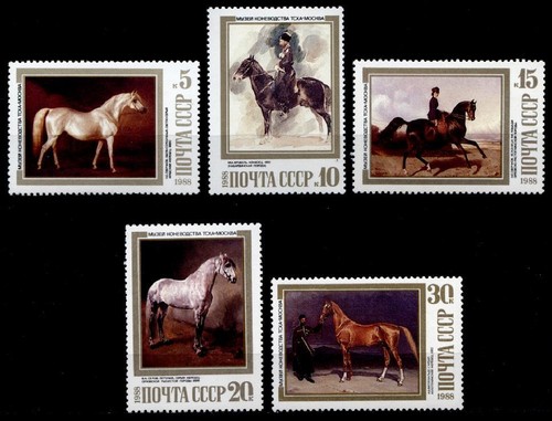 Allevamento cavalli salto - allevamento,