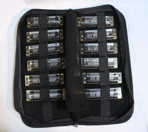 12x armonica hohner - hohner, river
