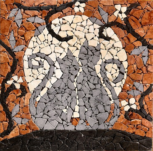 Gatti con luna - gatti, la