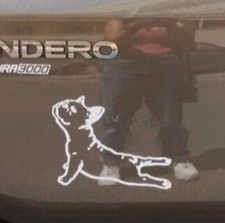 adesivo sticker vetri auto