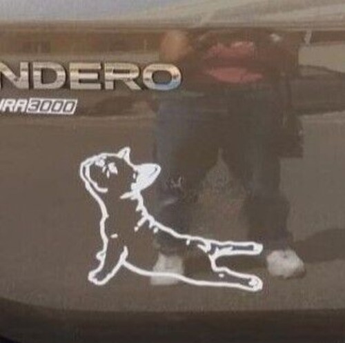 Adesivo sticker vetri auto - vetri,