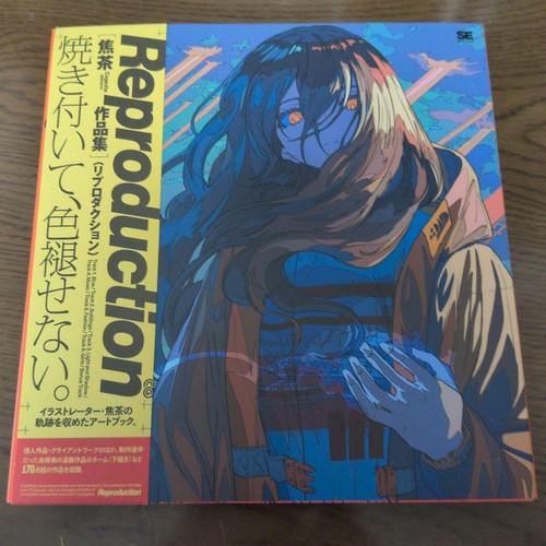 Libro arte riproduzione - libro, d'arte