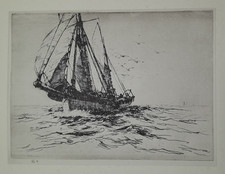 BRISCOE BRIXHAM PESCA