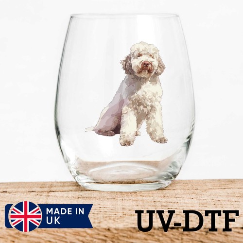 Lagotto romagnolo cane 8pz - lagotto,