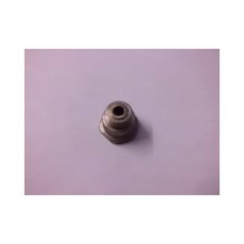 Vespa bacchetta ingrassatore