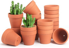 20 Pezzi Vasetti Terracotta Piccoli, Vasi per Piante, Mini Vaso Da Fiori, Con Fo