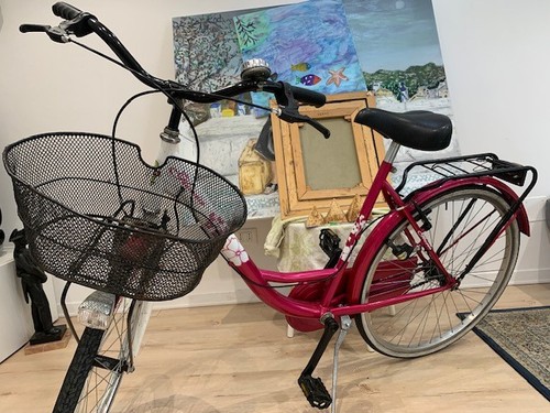bicicletta