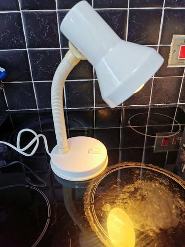 Lampada scrivania in - lampada,