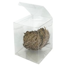 acquaverde Rosa del Deserto in