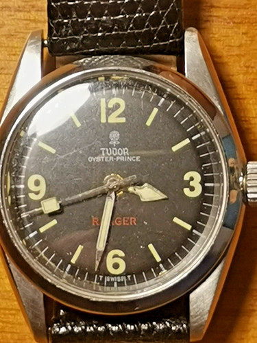 Tudor ranger prince oysterdate - ranger,