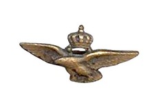 DISTINTIVO BREVETTO PILOTA