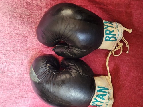 Guantoni boxe vintage bryan - guantoni, da