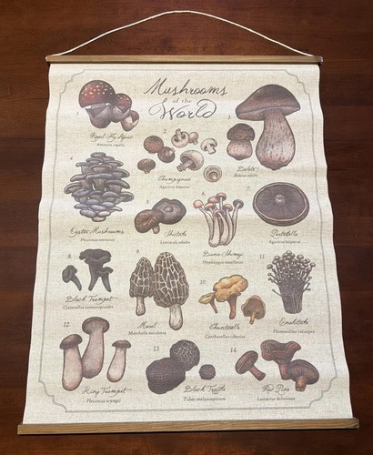 Striscione funghi terra del - striscione,
