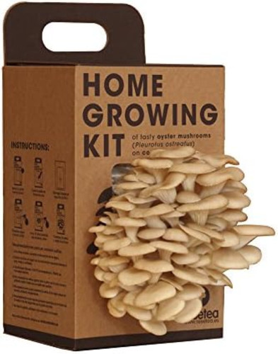 Kit coltivazione funghi - funghi, su
