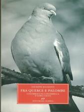 FRA QUERCE E PALOMBE