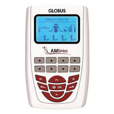 Globus Professional