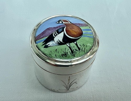 Portapillole fine sterling - fine,