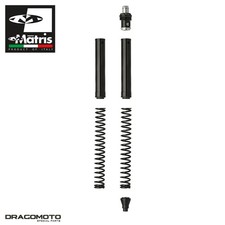 Kit forcella TRIUMPH Speed