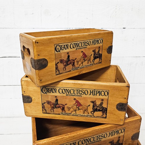 Cavallo dressage scatola - cavallo,