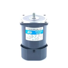 1PZ Nuovo Motore a Induzione