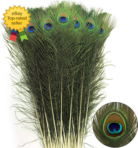 24pcs piume pavone naturale - piume, di