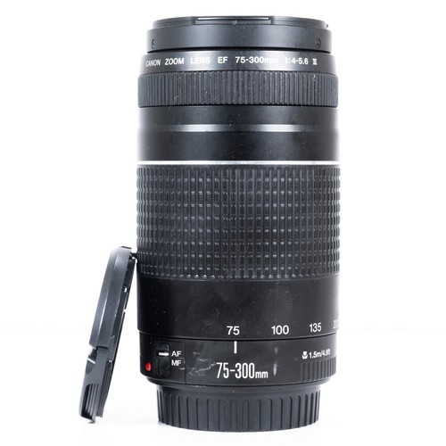 Canon 300 0 - mm, f/4.0-5.6
