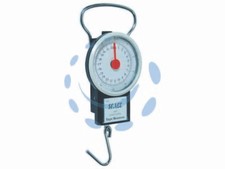 BILANCIA TASCABILE AD OROLOGIO