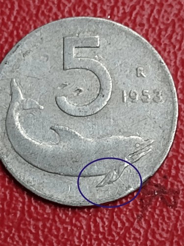 Moneta lire delfino 1953 - lire,
