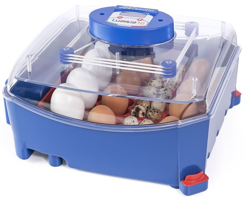 Incubatrice per uova - incubatrice,