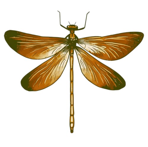 Adesivo libellula maestosa - , 4"