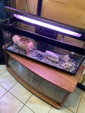 Acquario usato come nuovo, 100x30x40