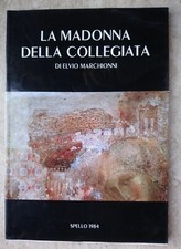 🔵LIBRO LA MADONNA DELLA