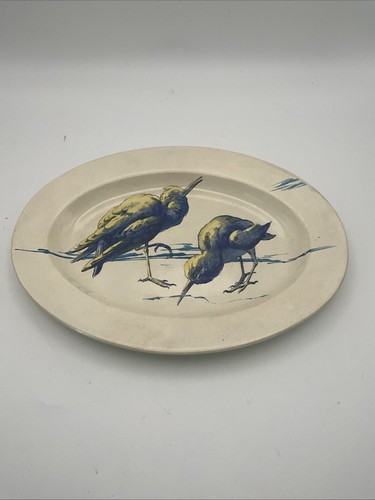 Piatto uccellino dipinto - , a