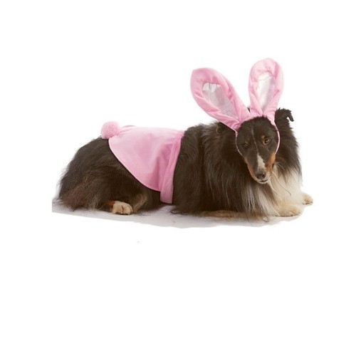 Costume halloween cane - halloween,